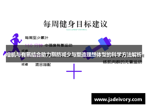增肌与有氧结合助力脂肪减少与塑造理想体型的科学方法解析