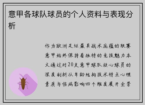 意甲各球队球员的个人资料与表现分析